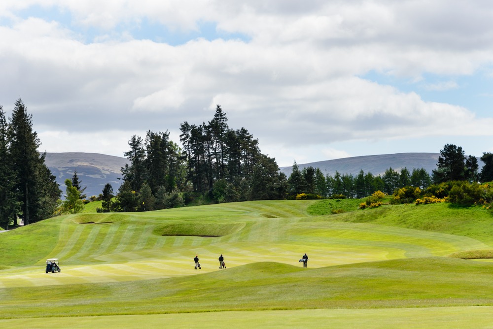 Ryder Cup